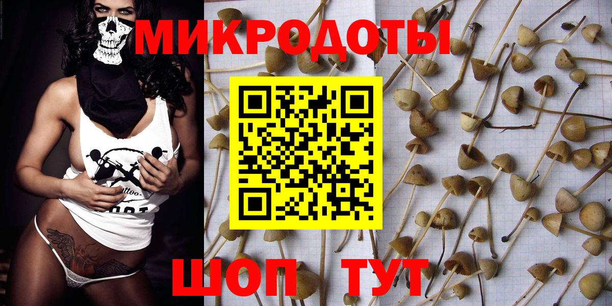 Дубна  Псилоцибиновые грибы Cubensis  Вход с VPN 